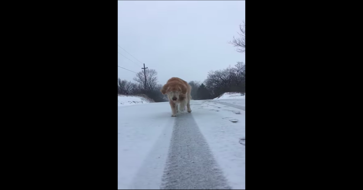 Smiley felice nella neve