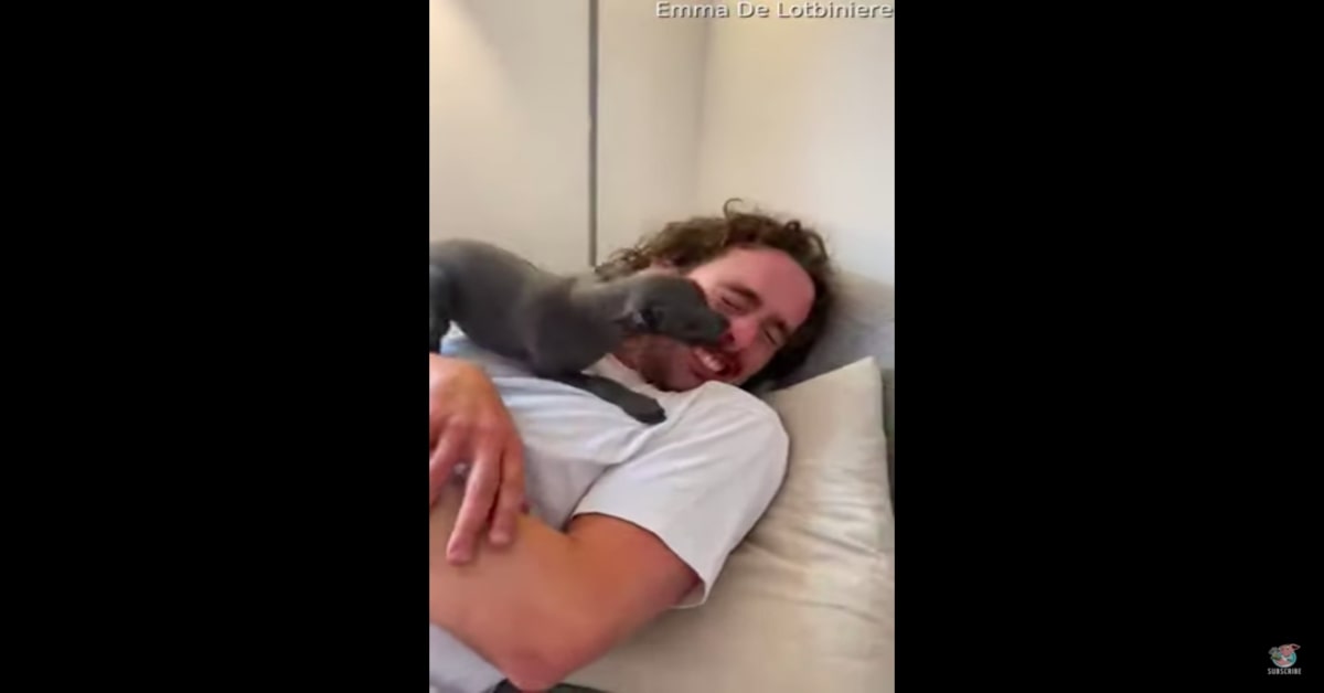 ragazzo con il suo nuovo cane 