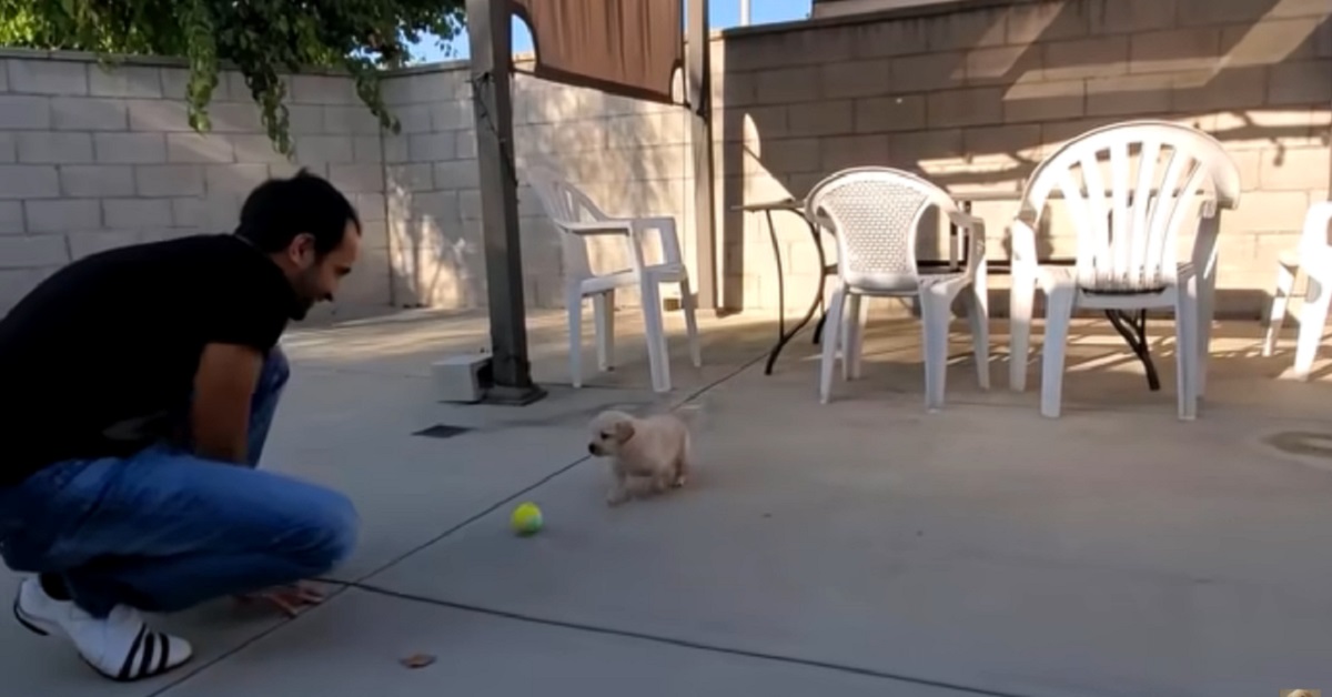 ragazzo che aveva paura di prendere un cucciolo di cane