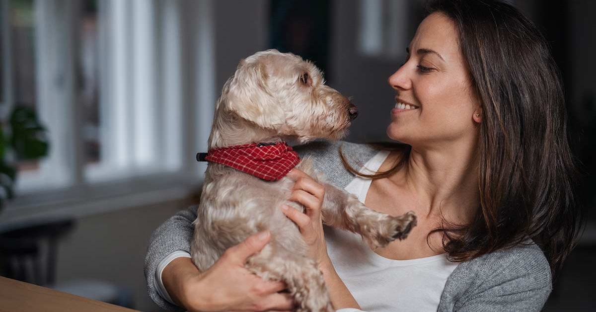 Assicurazione cani, cosa copre? Ecco che cosa sapere e come stipularla