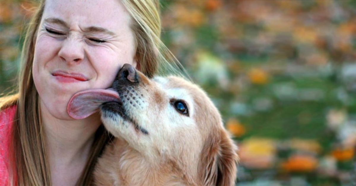 cane bacia una ragazza