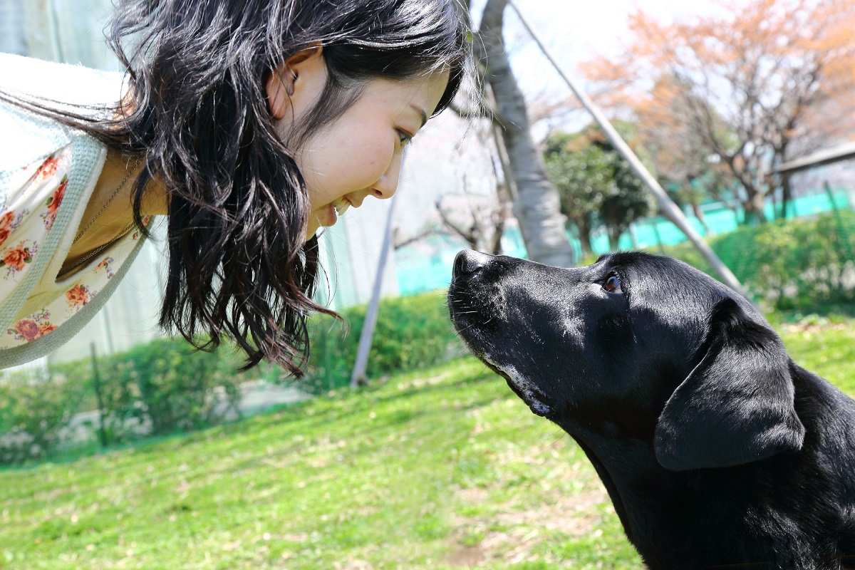 una ragazza guarda il suo cane