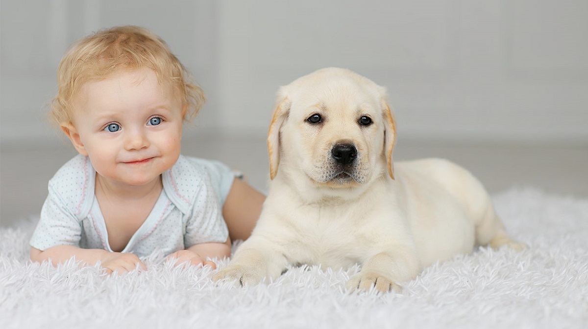 un bambino e un cucciolo