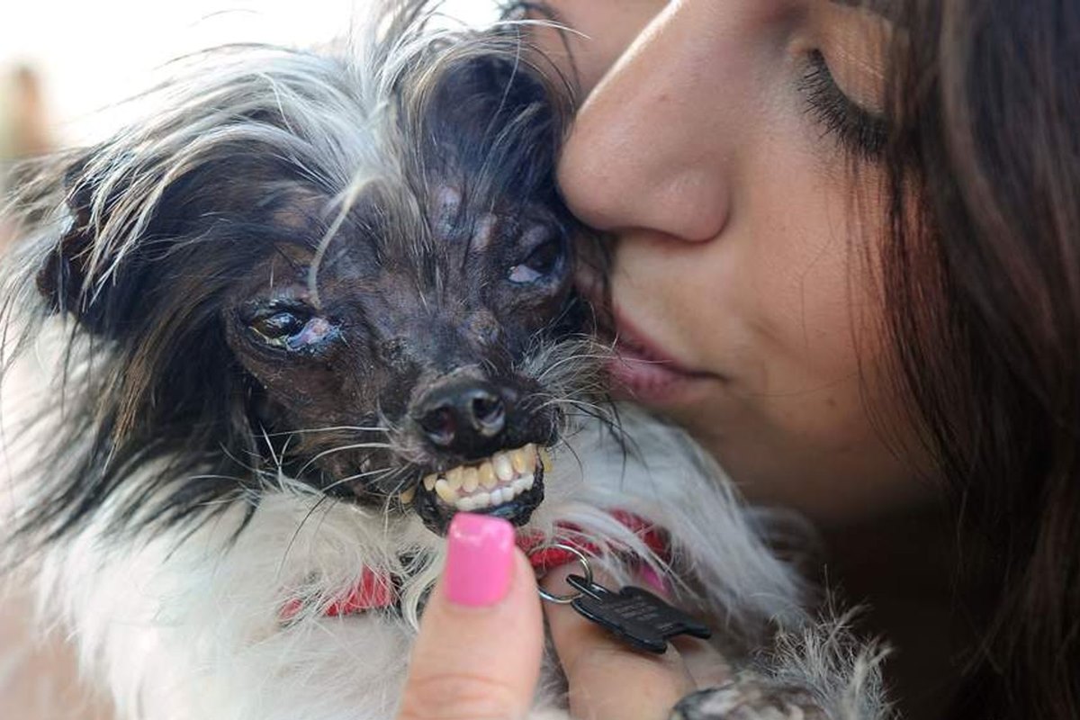 peanut cane più brutto del mondo