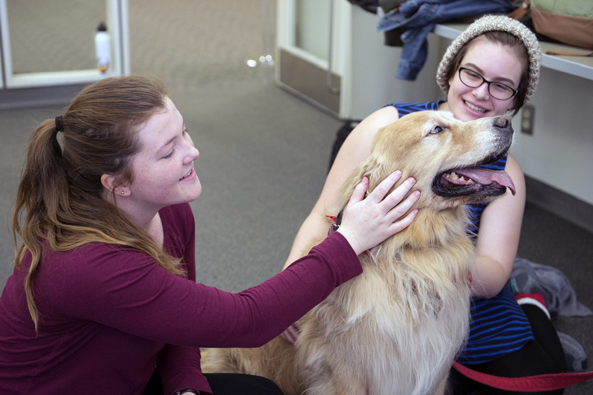 cane fa pet therapy