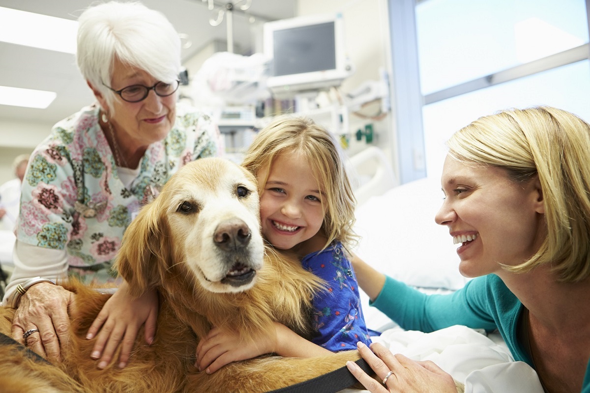 Come viene addestrato un cane da pet therapy, tutto quello che c’è da sapere