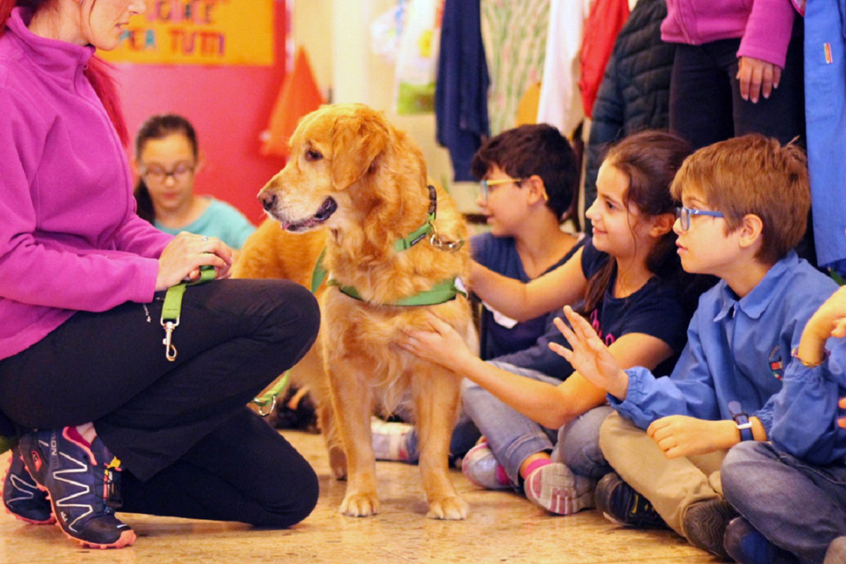 corso per cane da pet therapy