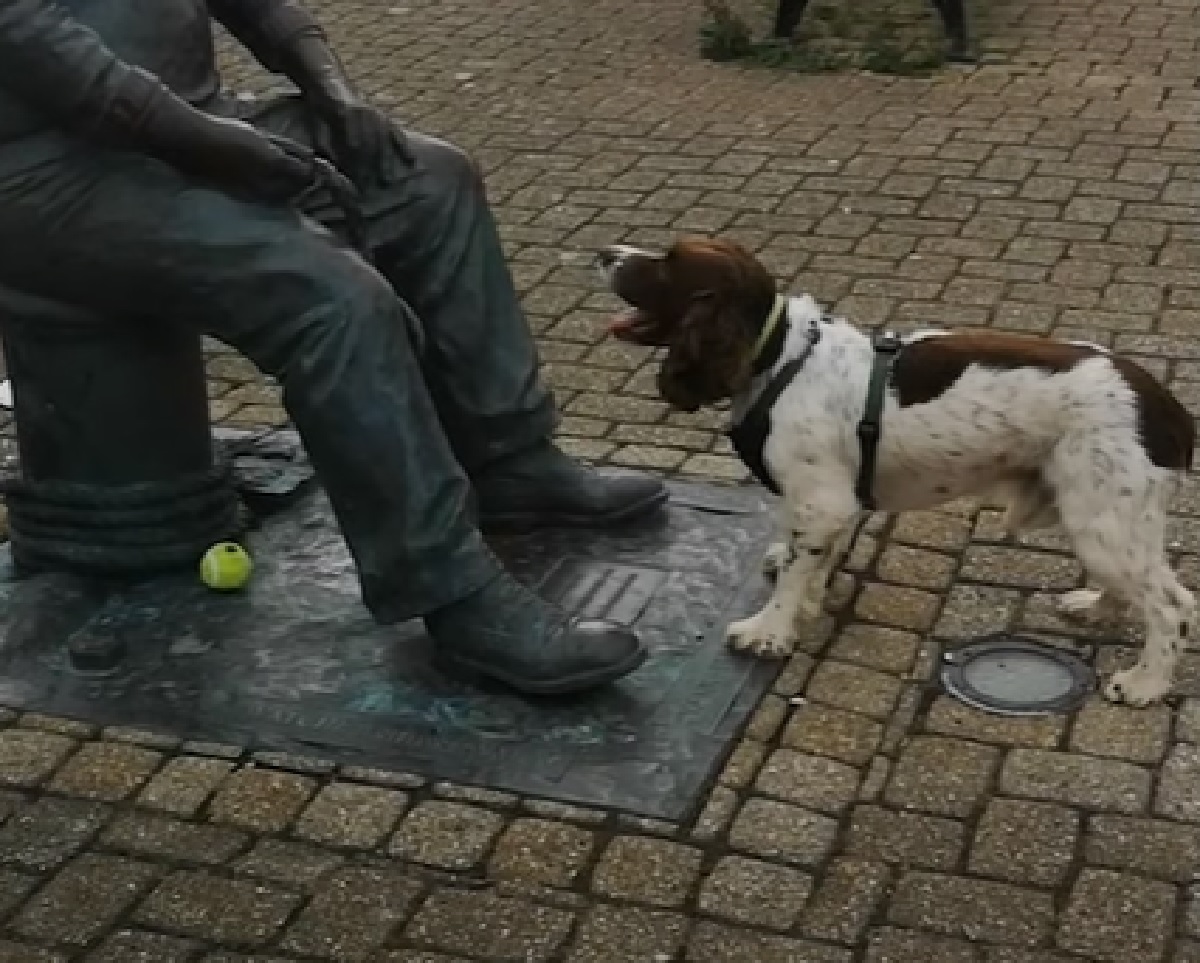 chester cucciolo gioca 10 anni statua