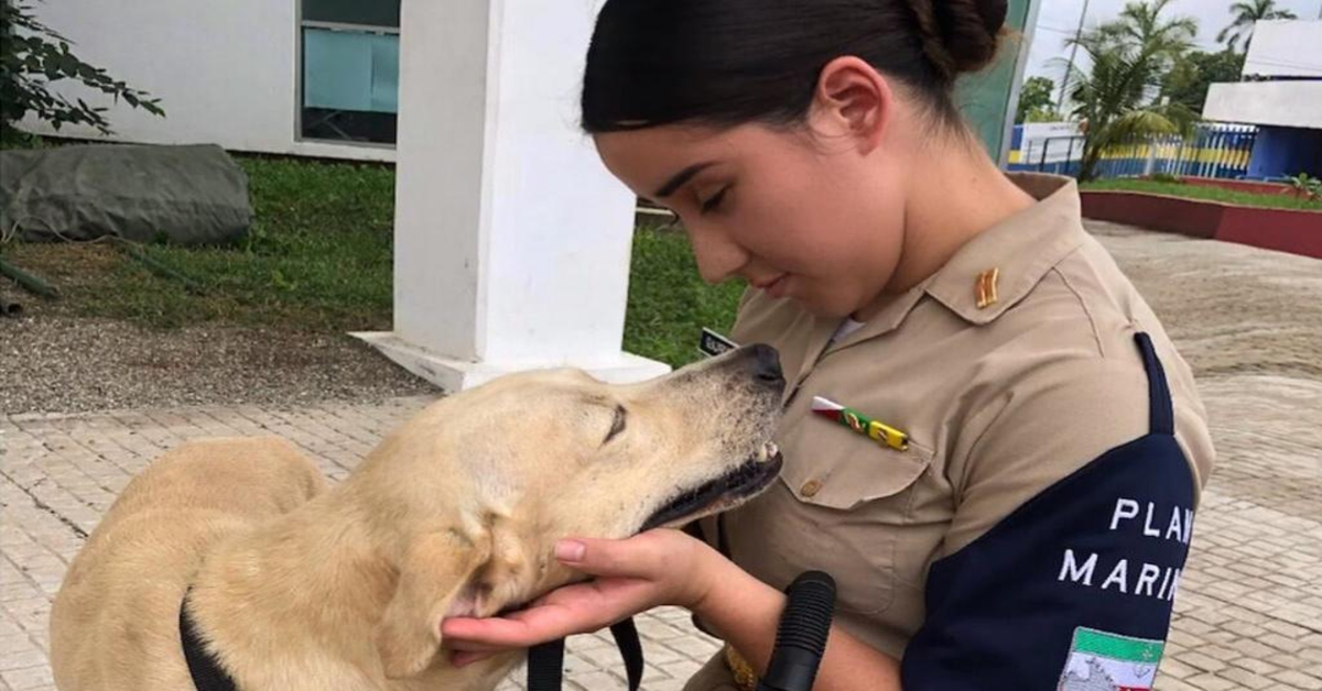 cane salvato da inondazione con donna marinaio