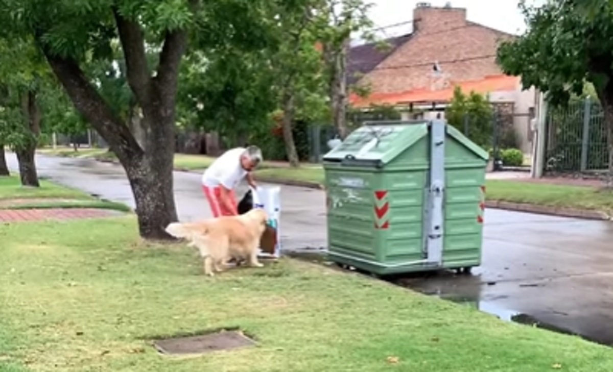 cane aiuta immondizia