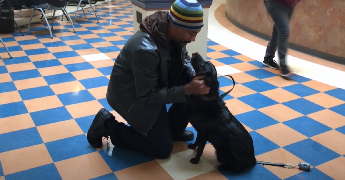 La cucciola di cane riabbraccia il papà dopo un’eternità, il video vi farà emozionare