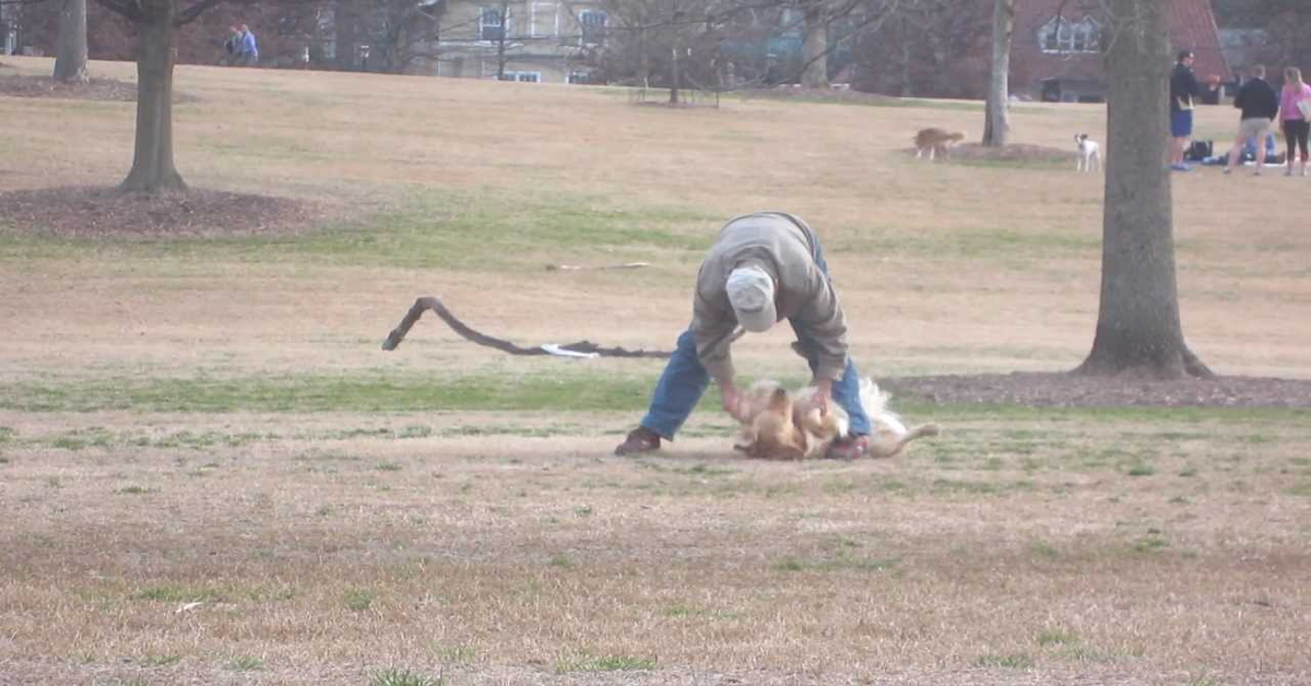 cane si finge morto per restare al parco e il padrone non riesce a farlo muovere