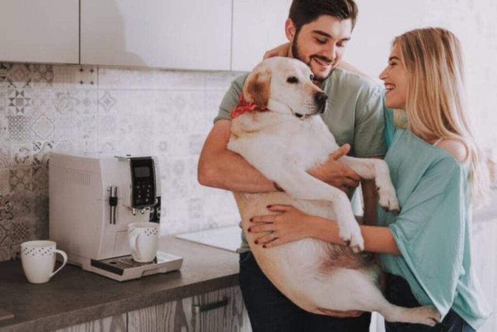 famiglia con cane