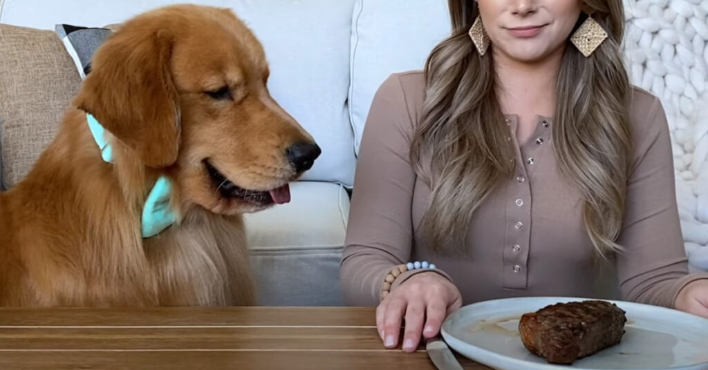 Golden Retriever con una bistecca