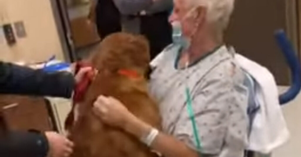 Cane con il padrone in ospedale