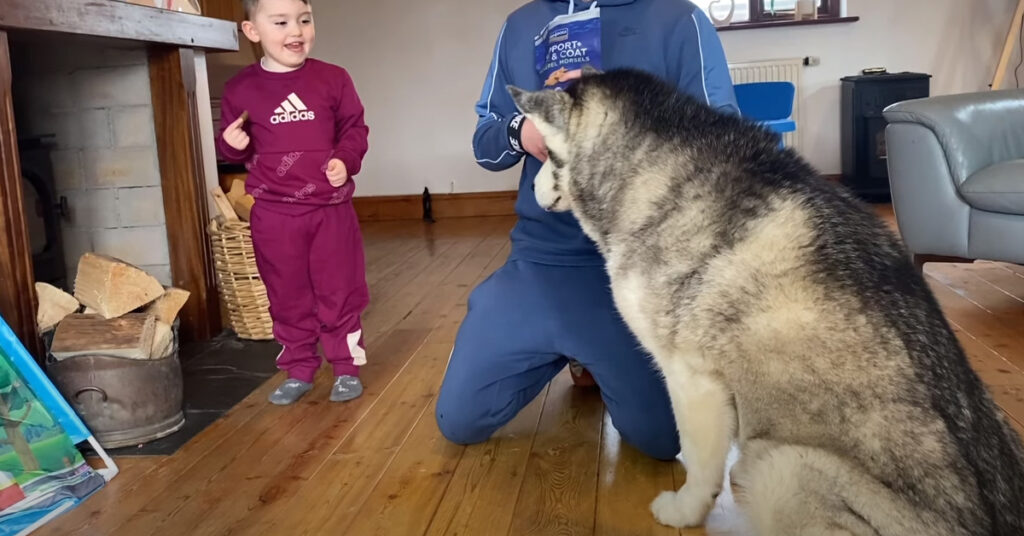 Husky con la sua famiglia