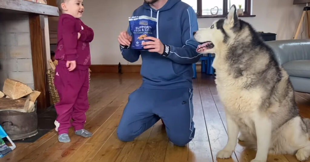 Husky con la sua famiglia