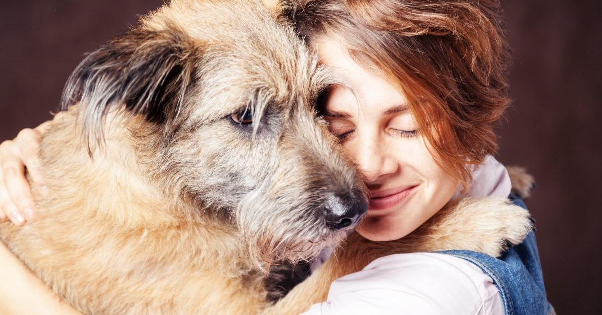 Sussidio per chi ha un cane: cosa è, come si ottiene e cifre