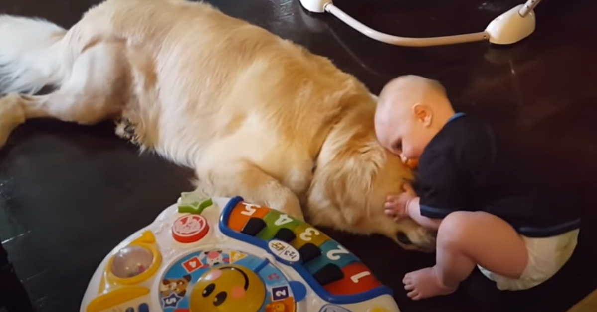 Samson e Aiden, il Golden Retriever e il bambino uniti da un’amicizia speciale (video)