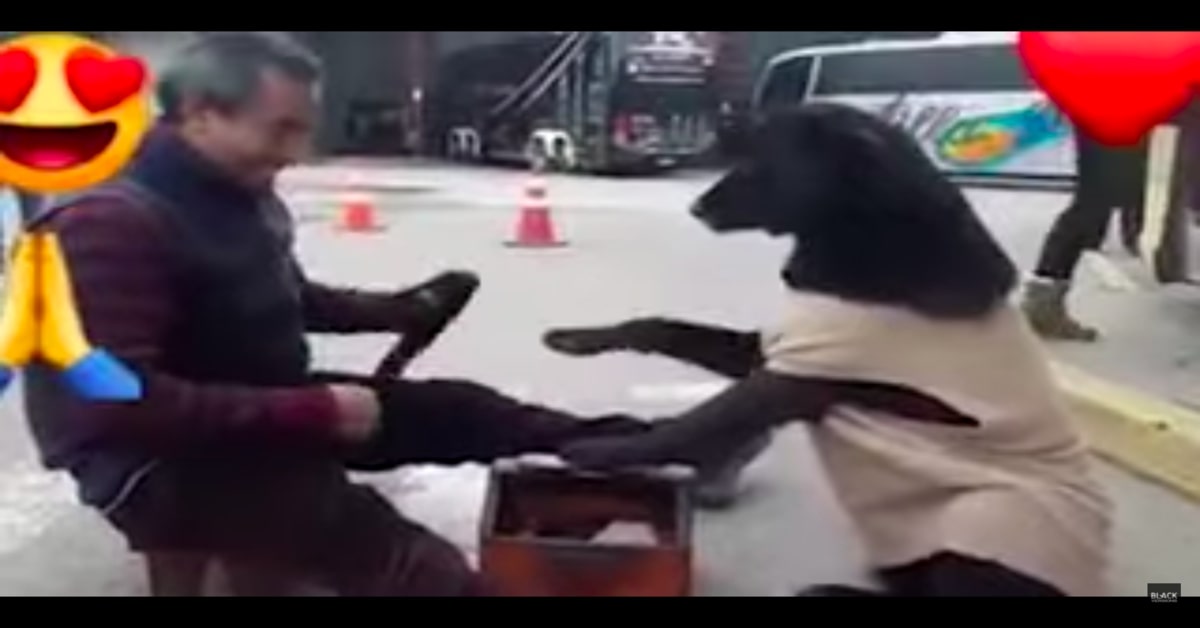 Cucciolo di cane intenerisce la rete al chiedere a un lustrascarpe di pulirgli le zampine (VIDEO)