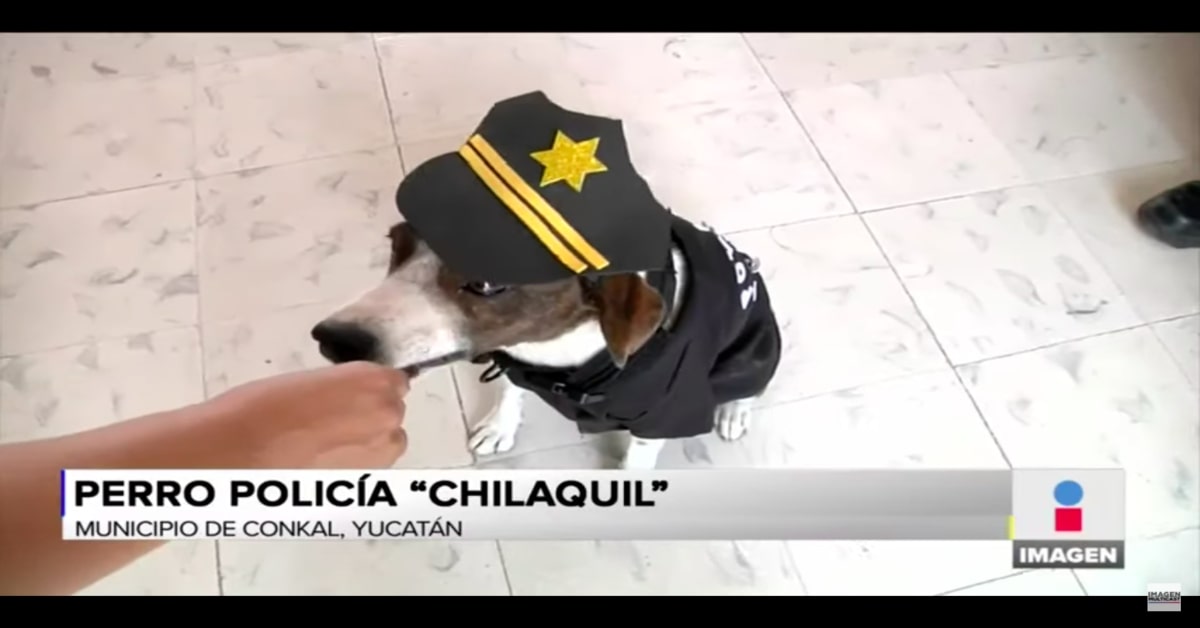 Chalaquil con uniforme di polizia