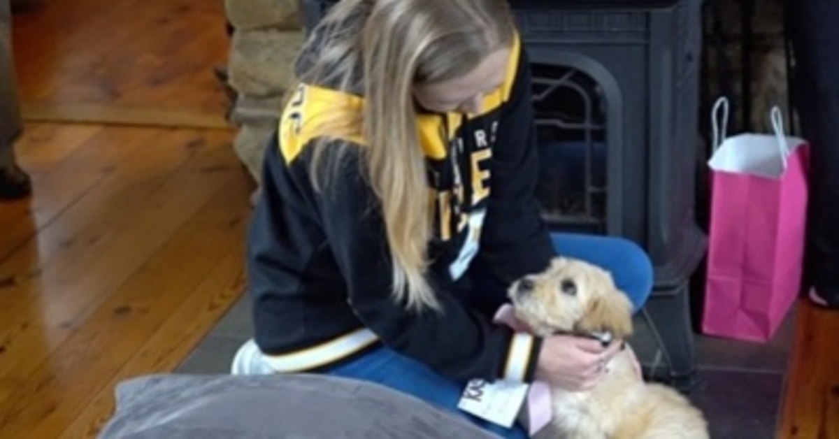 Una donna rimasta vedova ritrova il sorriso grazie a Gumby, un cucciolo di Goldendoodle (VIDEO)