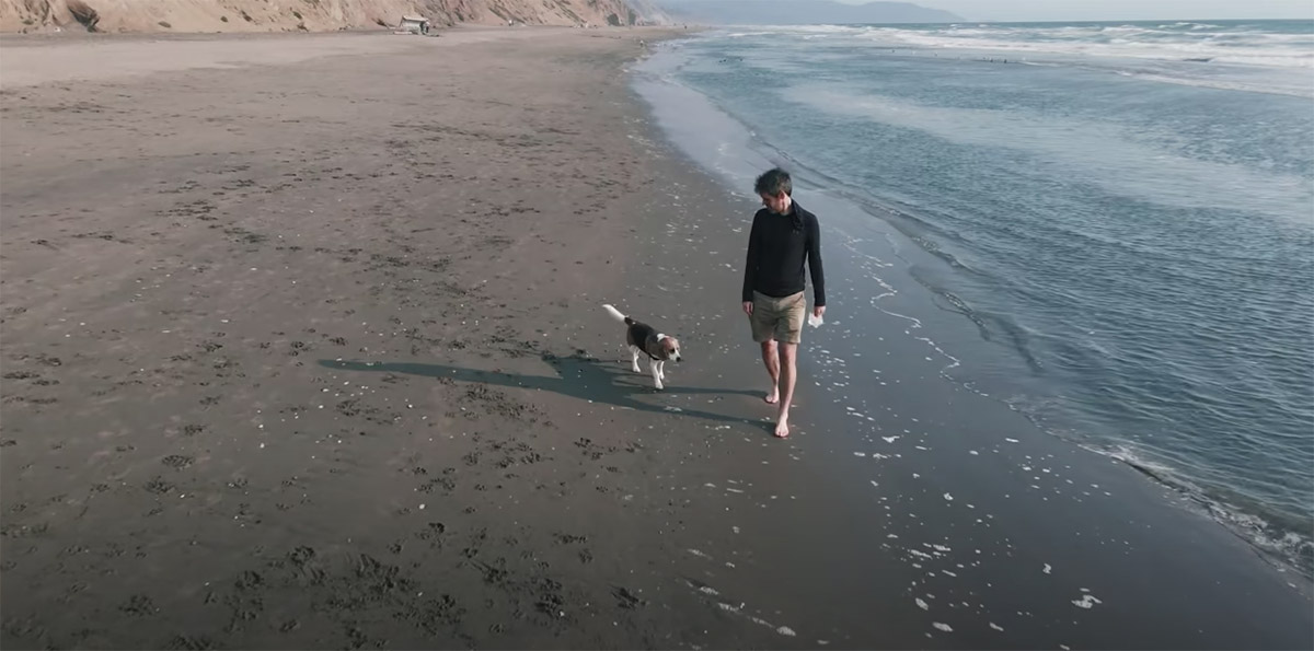 Oliver, il Beagle che vede l’Oceano e non riesce più a contenersi (VIDEO)