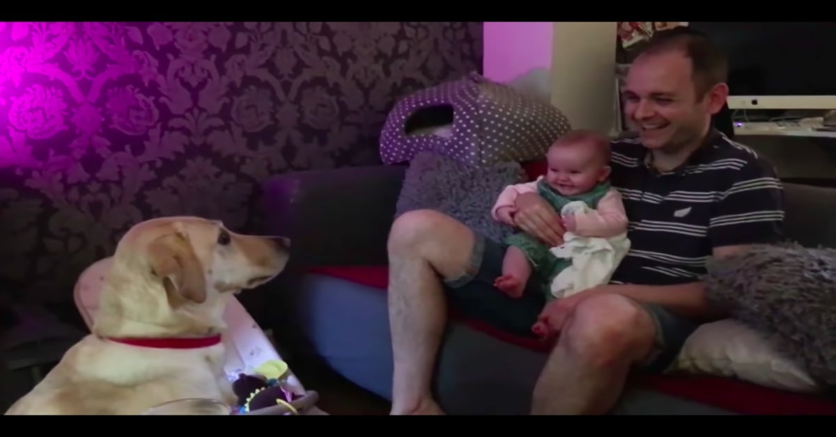 Una bimba ride al vedere ciò che fa il suo cucciolo di cane (VIDEO)
