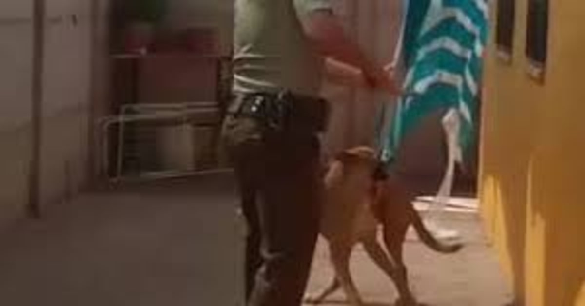 Il cucciolo di cane ringrazia il poliziotto che lo ha liberato con un dolcissimo abbraccio (VIDEO)