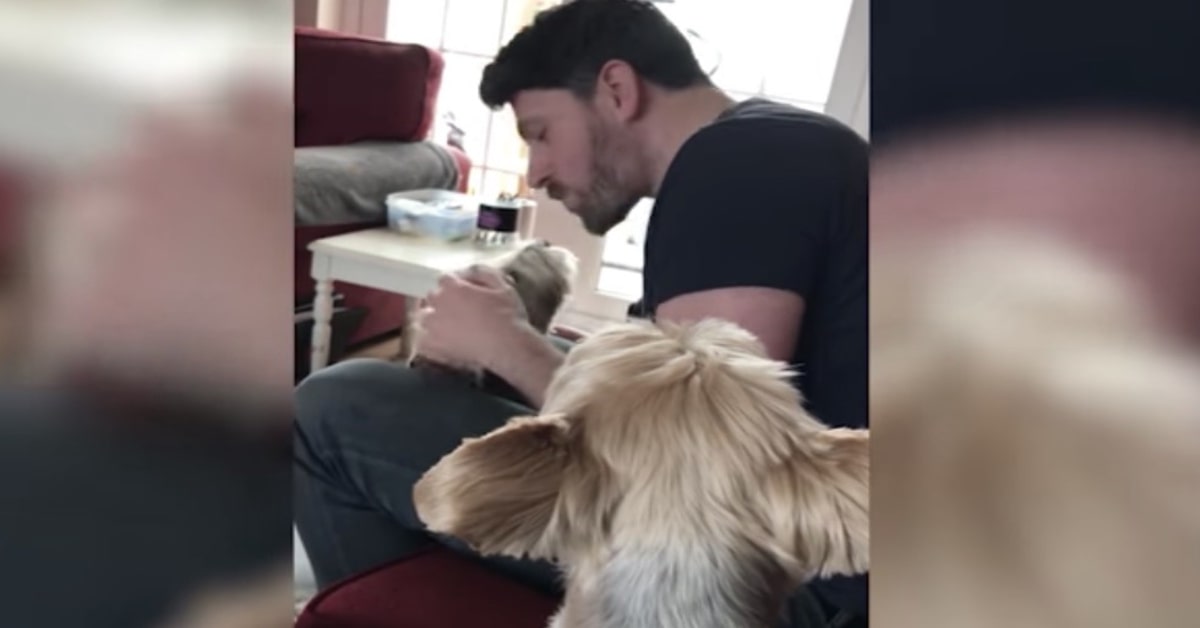 ragazzo gioca con cane e l'altro lo guarda geloso