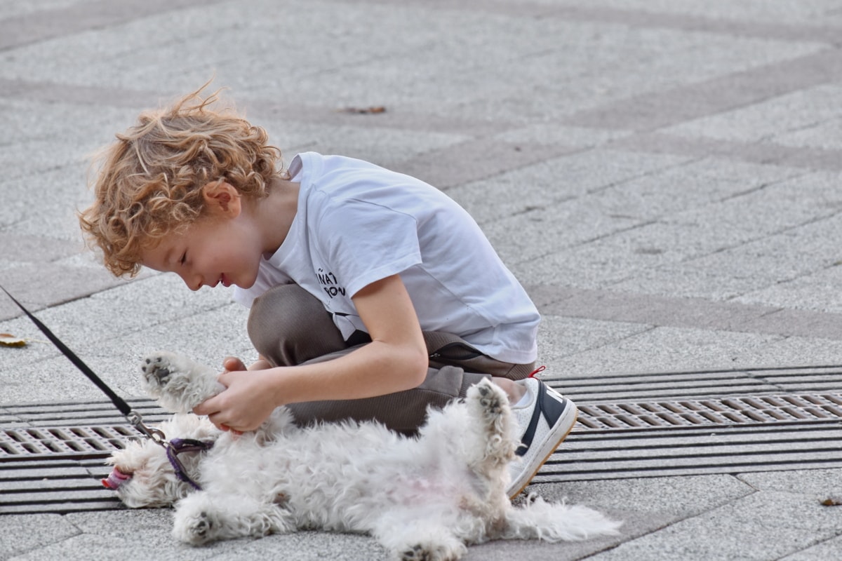 bambino gioca con il cucciolo