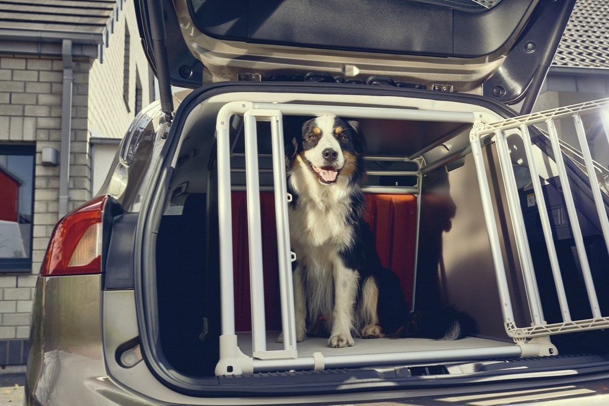 trasportino per cani da macchina