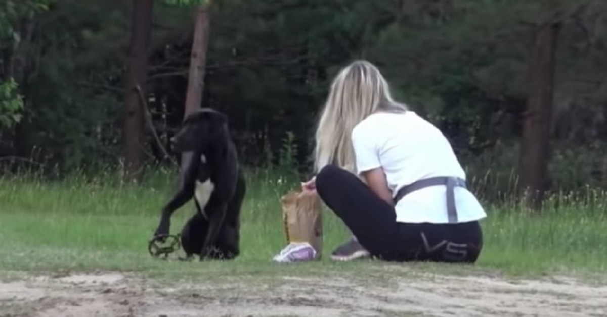 Cucciola di cane rimane incastrata nella trappola per coyote, il video mostra il miracoloso salvataggio