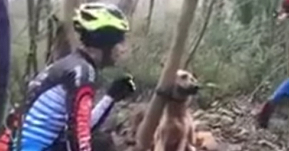 Cucciolo di cane abbandonato e legato viene trovato da alcuni ciclisti, la toccante scena in video