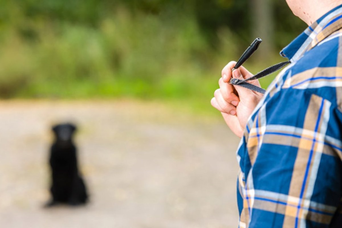 uomo utiliza un fischietto ultrasuoni per cani