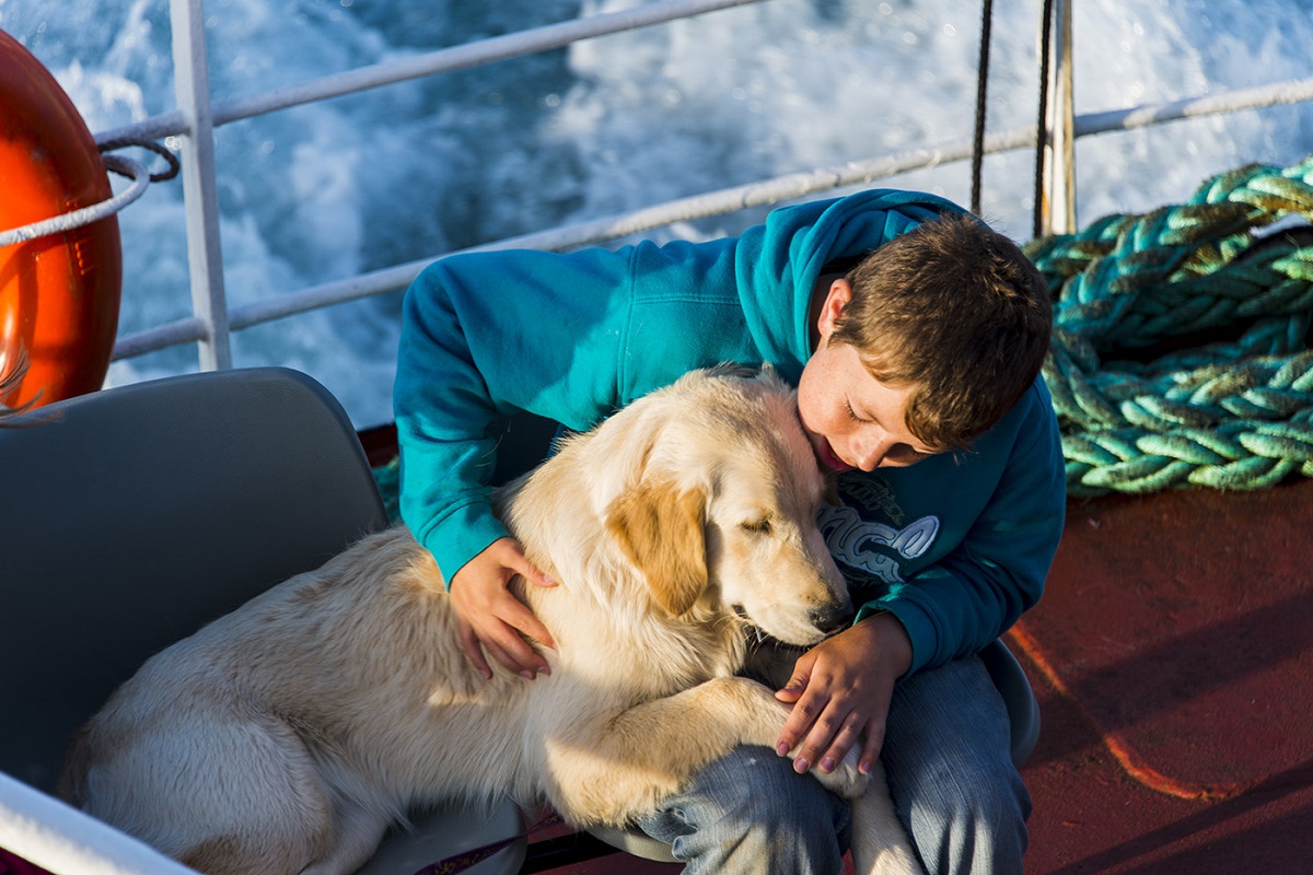 cane e bimbo molto uniti