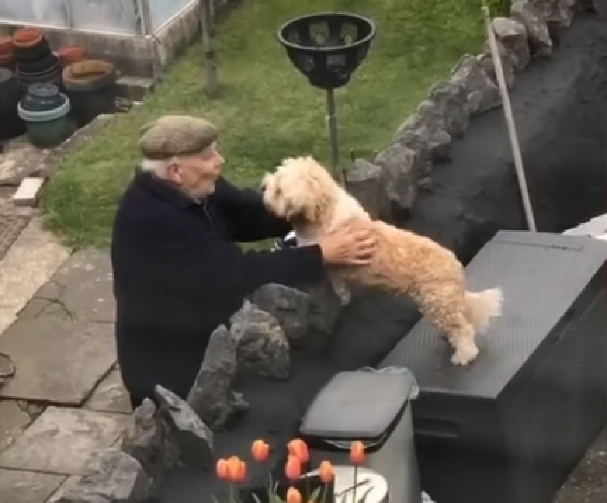 tilly cucciola vuole uscire casa saluto anziano