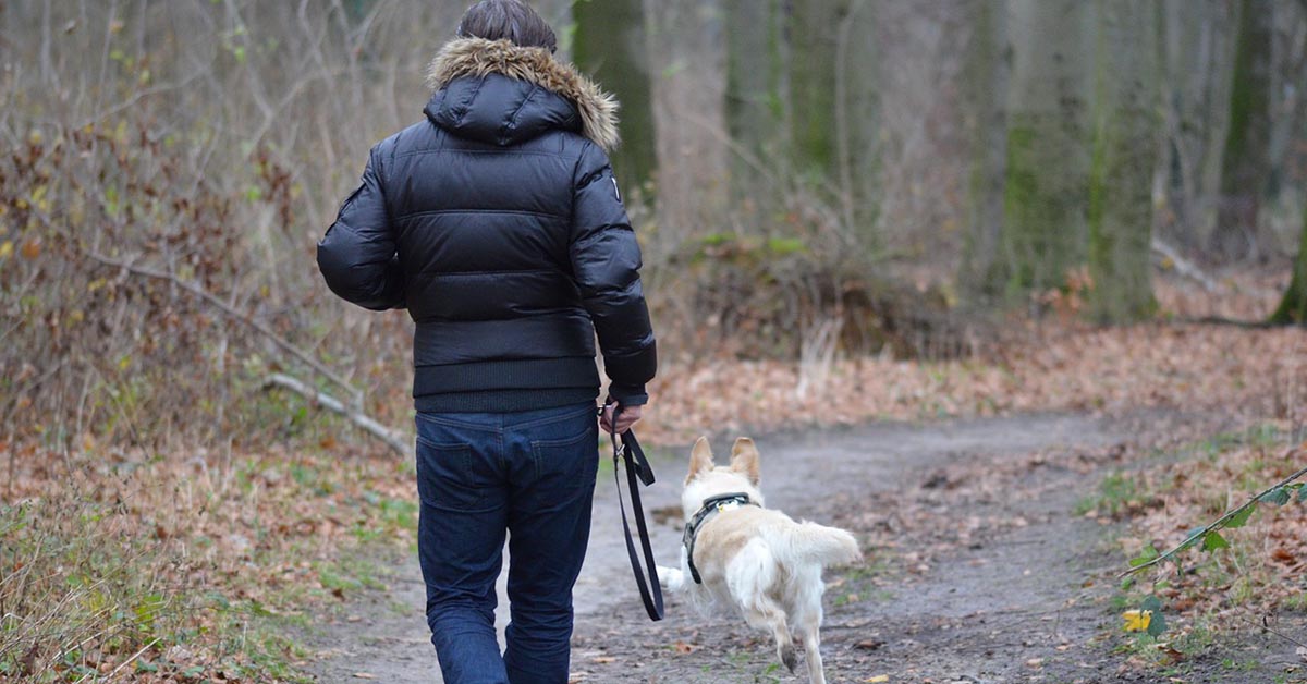 Localizzatori gps per cani: che cosa sono e a che cosa possono servire?