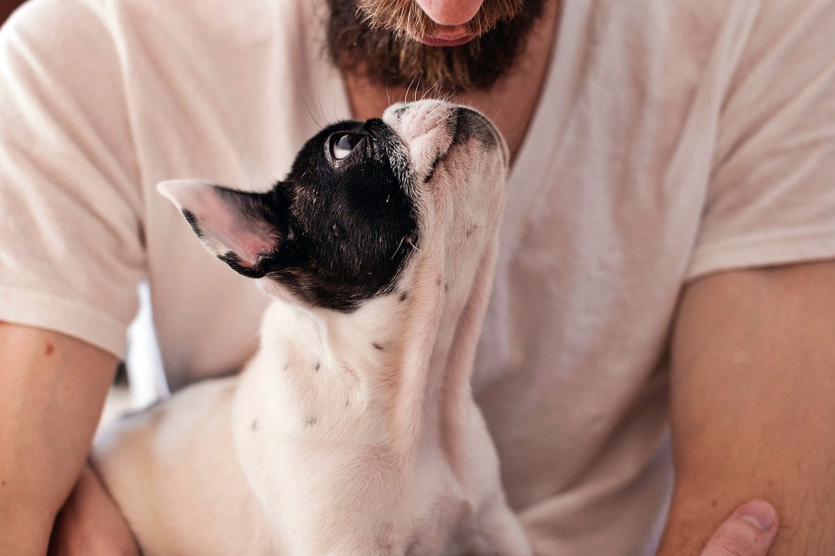 ragazzo che bacia il suo cane