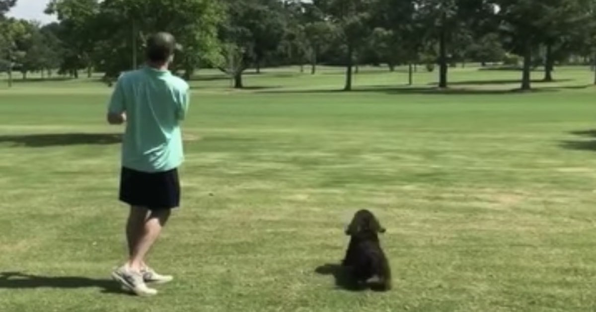 un signore gioca a golf con il suo cane nero 