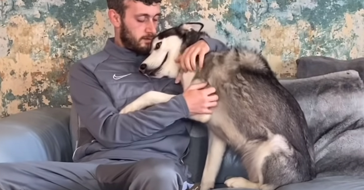 Husky con il padrone