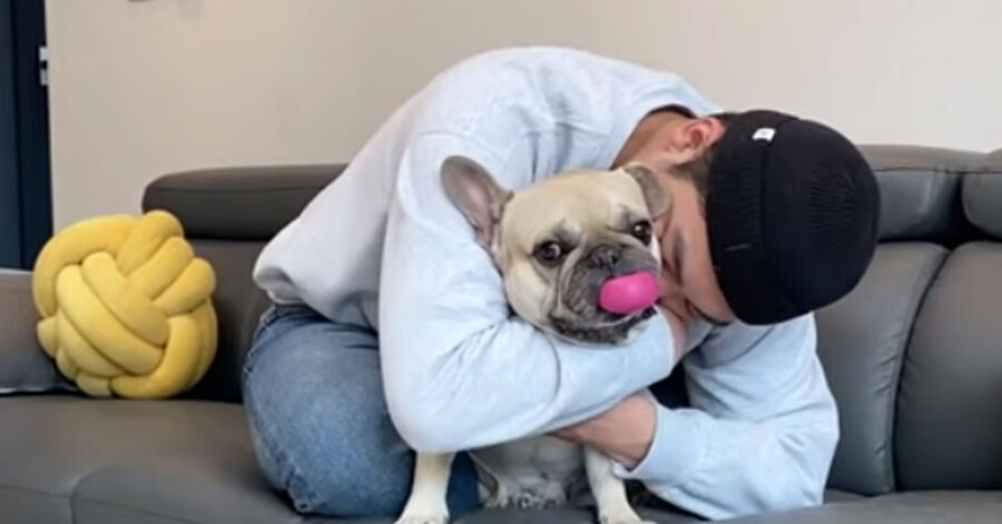 Bulldog Francese con il proprietario