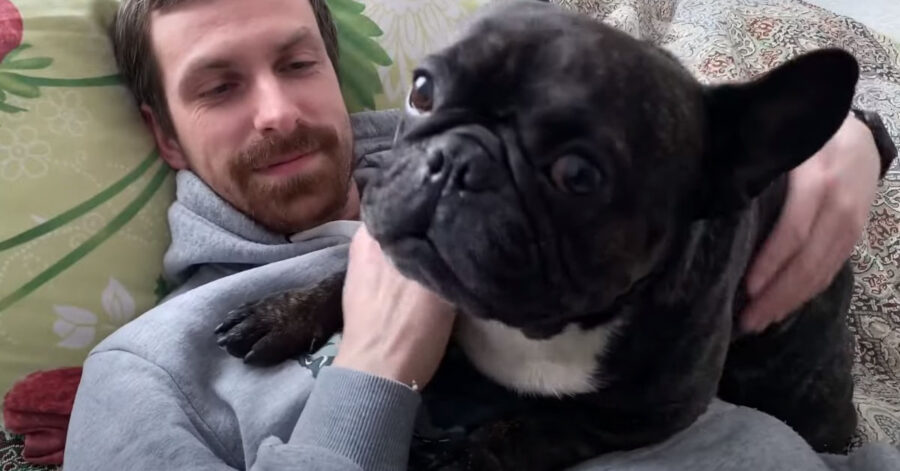 Bulldog Francese con il proprietario