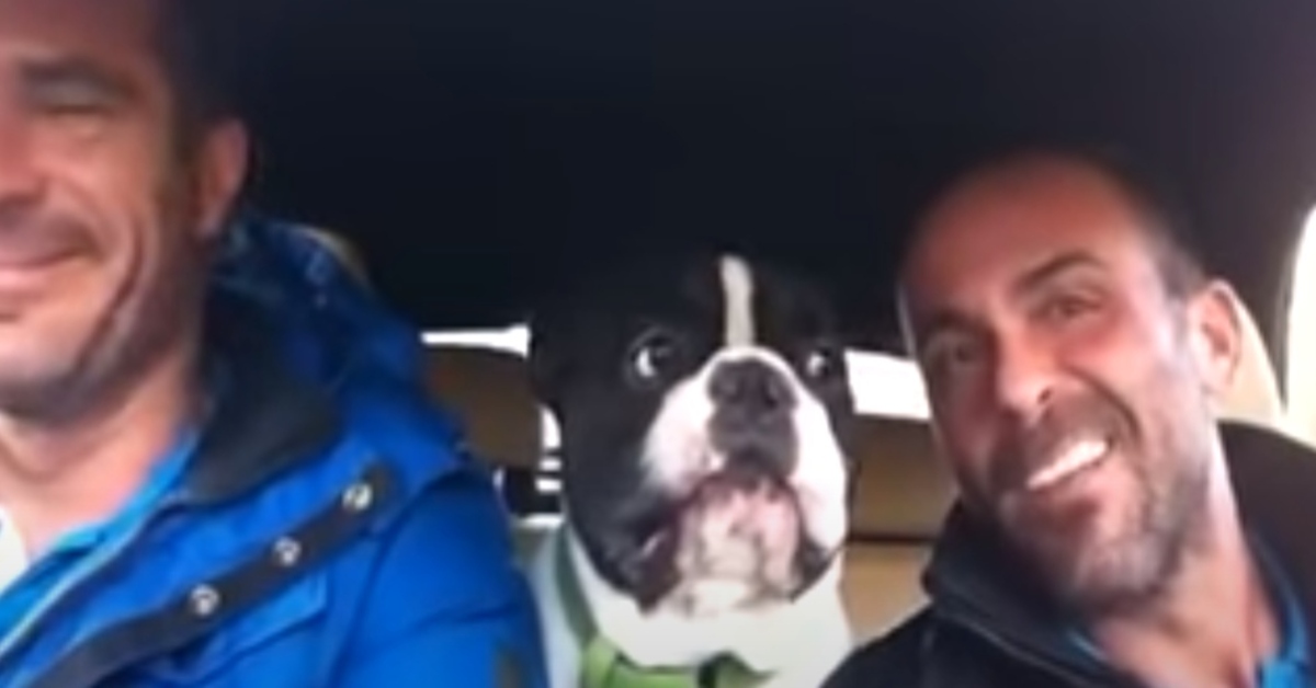 Junior Bulldog canzone video