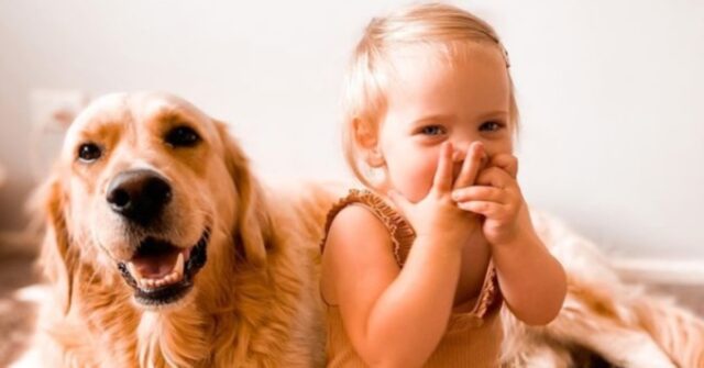 La storia dell’amicizia tra Macy e Marshall, una bambina e un Golden Retriever (VIDEO)