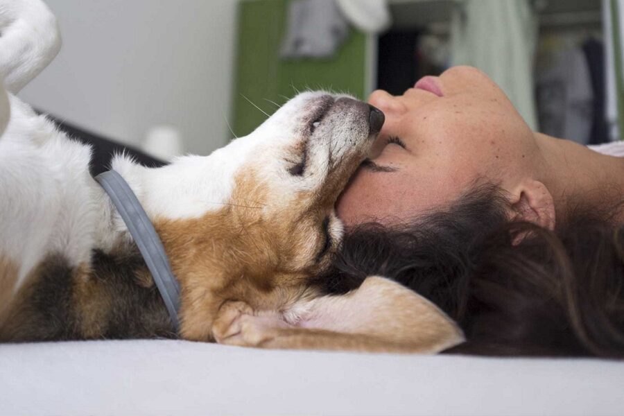 cane e donna fronte a fronte