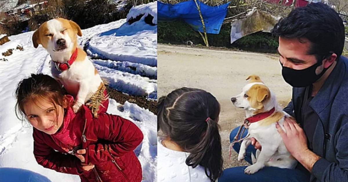 Pamuk, il cagnolino che ha viaggiato sulla schiena della padroncina per arrivare dal veterinario (VIDEO)