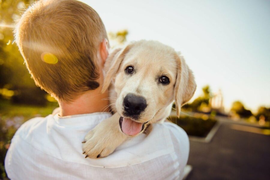 al cucciolo di cane piacciono le coccole