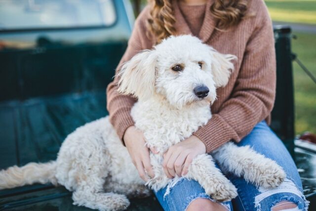 Donna con cane bianco su un mezzo