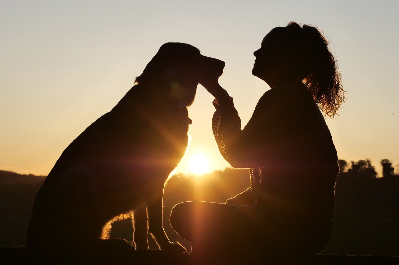 cane e il suo padrone